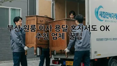 부산 원룸 이사 용달, 혼자서도 OK! 추천 업체 & 꿀팁