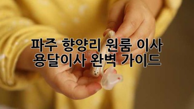 파주 향양리 원룸 이사, 용달이사 완벽 가이드!